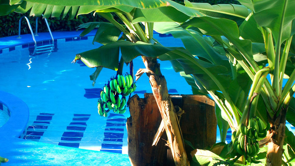 Hotel South Beach - Beachfront Jacó Kültér fotó